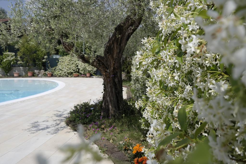 Campeggio Delle Rose Moniga del Garda 외부 사진